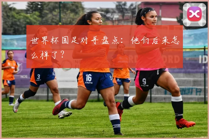 世界杯国足对手盘点:他们后来怎么样了?